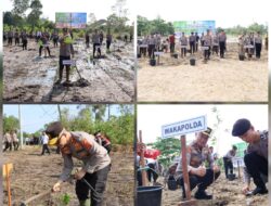 Gencarkan Program Ketahanan Bumi Serumpun Sebalai, Polda Babel Tanam 3.500 Bibit Tanaman