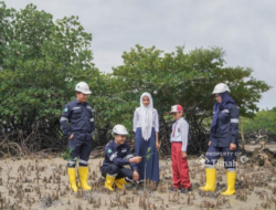 Wujudkan Aksi Nyata, PT Timah Tanam Ratusan Ribu Mangrove Dukung Target Net Zero Emission