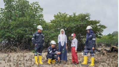 Wujudkan Aksi Nyata, PT Timah Tanam Ratusan Ribu Mangrove Dukung Target Net Zero Emission