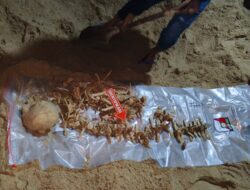 Heboh Penemuan Kerangka di Pantai Batu Rakit, Polisi Masih Lakukan Pemeriksaan