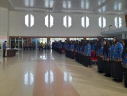 Algafry Lantik 335 CPNS dan PPPK Tahap 1 Formasi 2024