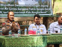 Dukung Program Presiden, Kapolres Bangka Barat Tunjukkan Komitmen Lewat Panen Jagung Bersama