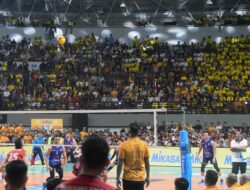 Musim Ditutup! PLN Mobile Proliga 2025 Jadi Ajang Bersinarnya Talenta Muda Tanah Air