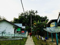 Hadir Hingga Ujung Negeri, PLN Perkuat Infrastuktur Kelistrikan Di Pulau Buku Limau Untuk Layanan Andal