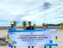 PLN Babel Dukung Sektor Industri, Sambungkan Listrik 105 KVA di Tambak Udang