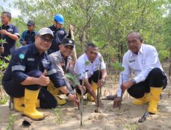Langkah Berkelanjutan PT Timah Dalam Melestarikan Lingkungan, Tanam 2500 Bibit Mangrove di Karimun