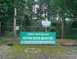 Hutan Kota Mentok, Komitmen PT Timah Jaga Flora Fauna Endemik dan Kawasan Konservasi