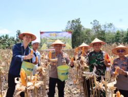Panen Raya Jagung, Kapolres Bangka Selatan Apresiasi Kelompok Tani 