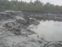 Belum Rampung Dinormalisasi, Dinding Tanggul Sungai Pumpung Longsor, Petani Minta untuk Penting Kualitas