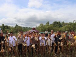 Panen Jagung di Desa Air Limau, Kapolres Bangka Barat Beri Apresiasi