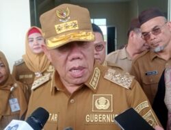 Pelabuhan Sadai Disiapkan Jadi Pusat Transportasi Baru, Gubernur Hidayat: Fokus Penumpang dan Kargo