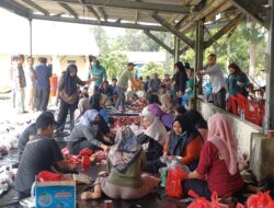 Iduladha 1446 H, Pemkab Bangka Barat Sembelih 8 Sapi dan 3 Kambing 