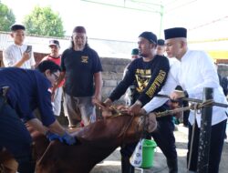 Momen Idul Adha 1446 H, Polda Babel Potong 55 Ekor Hewan Qurban