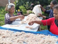 Nelayan Sungkur Toboali Panen Udang Rebon di Hari Lebaran Iduladha 1446 H
