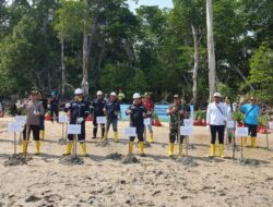 Langkah Nyata PT Timah Dalam Peringatan Hari Lingkungan Hidup Sedunia, Tanam Ribuan Pohon Mangrove di Pesisir Pantai Tanjung Labun Untuk Cegah Abrasi