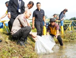 Polda Babel Kembali Tebar Ribuan Bibit Ikan di Bhay Park, Irjen Pol Hendro Pandowo Harap Semoga Bisa Berikan Hiburan Bagi Masyarakat