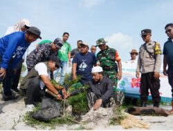 Tanam Pohon Peneduh di Kawasan Wisata Batu Tunggal, Langkah Nyata PT Timah Dalam Pelestarian Lingkungan dan Pariwisata Berkelanjutan