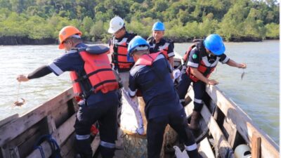 Jaga Ekosistem Pesisir dan Tingkatkan Ekonomi Masyarakat, PT Timah Kembali Restocking Ratusan Kepiting Bakau di Perairan Kundur
