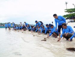 Dukung Pariwisata dan Ekosistem Laut, PT Timah Tbk Bersama AAI Sumbagsel Lepasliar Tukik Sisik di Pulau Kelayang