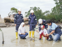 Komitmen Hijau: Program Pengelolaan Lingkungan PT Timah untuk Masa Depan Bumi
