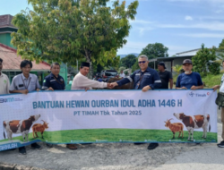 Tebar Hewan Kurban di Bangka Barat, Warga Sebut PT Timah Tidak Pernah Absen Berikan Hewan Kurban