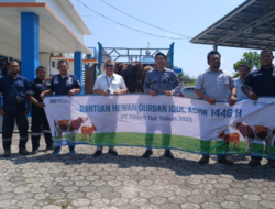 Idul Adha Penuh Makna, PT Timah Bagikan Hewan Kurban untuk Masyarakat Bangka Barat