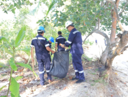 Hari Lingkungan Hidup Sedunia, PT Timah Gelar Aksi Nyata Kumpulkan Sampah Plastik Hingga Tanam Pohon di Pantai