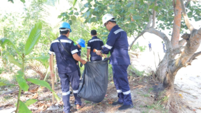Hari Lingkungan Hidup Sedunia, PT Timah Gelar Aksi Nyata Kumpulkan Sampah Plastik Hingga Tanam Pohon di Pantai