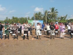 Bupati dan Forkopimda Bangka Tengah Tanam 1.500 Bibit Mangrove di Kurau