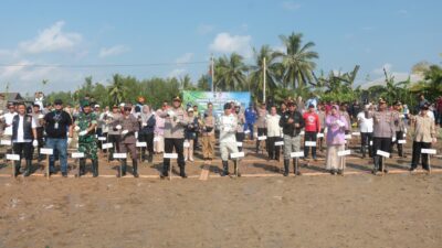 Bupati dan Forkopimda Bangka Tengah Tanam 1.500 Bibit Mangrove di Kurau
