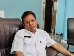 Pemkab Bangka Barat Sudah Miliki 4 Ekor Sapi Kurban dari Eksternal Pemda