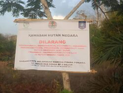 Pemasangan Plang Kawasan Hutan Negara di Pulau Besar Bikin Warga Bingung, Camat Akui Tidak Tahu