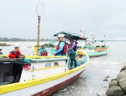 Laut Lestari, Bisnis Berkelanjutan: Ini Strategi PT Timah Jaga Ekosistem Laut dengan Aritificial Reef