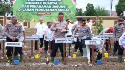 Dukung Swasembada Pangan, Polda Babel Gelar Penanaman Jagung Serentak Kuartal III