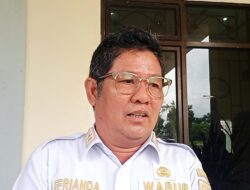 Soal Rencana Pembangunan Tapak PLTN di Pulau Gelasa, Efrianda Sebut Pemda Hanya Siapkan Lahan 