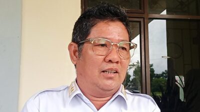 Soal Rencana Pembangunan Tapak PLTN di Pulau Gelasa, Efrianda Sebut Pemda Hanya Siapkan Lahan 
