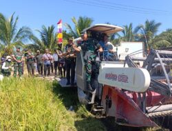 Dirterad Mabes TNI AD Panen Raya di Desa Rias, Dorong Peningkatan Produktivitas Padi Bangka Selatan