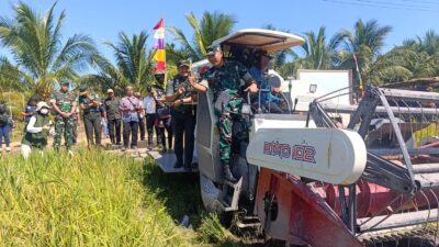 Dirterad Mabes TNI AD Panen Raya di Desa Rias, Dorong Peningkatan Produktivitas Padi Bangka Selatan