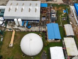 Perdana! Limbah Sawit Jadi Listrik: Kado Spesial PLN untuk HUT RI ke-80