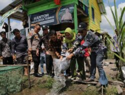 Wabup Bangka Barat Salurkan Ribuan Bibit Ikan Lele ke PMM Unmuh Babel