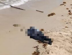 Warga Desa Batu Beriga Geger, Mayat tak Utuh Ditemukan di Pinggir Pantai