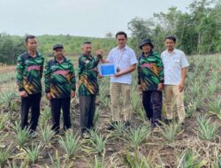 Perkuat Ekonomi Masyarakat, PT Timah Bantu Petani di Kundur Lewat Bibit Tanaman