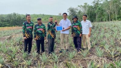 Perkuat Ekonomi Masyarakat, PT Timah Bantu Petani di Kundur Lewat Bibit Tanaman