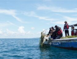 Lewat Program Artificial Reef dan Coral Garden, PT Timah Dorong Kelestarian Pesisir dan Hasil Tangkapan Nelayan