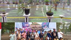 Lebih dari 100 Bonsai Ikuti Pameran & Kontes Mandiri PPBI Basel, Meriahkan Kemilau Pesona Bangka Selatan 2025