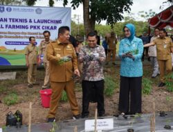 Melalui Launching Program Digital Farming di Bangka Belitung, Sinergi Bank Indonesia dan PKK Cikar Dorong Good Agricultural Practices