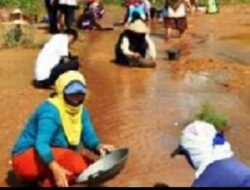 Kualitas Jadi Pembeda, Ini Alasan Kompensasi Bijih Timah di Penambang