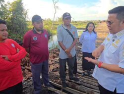 Bupati Riza Herdavid Tegaskan Akan Tindak Tegas Oknum Pelaku Pembalakan Liar di Pergam