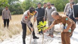 Kapolda Babel Kunjungi Belitung Timur, Tanam Pohon di Objek Wisata SD Laskar Pelangi