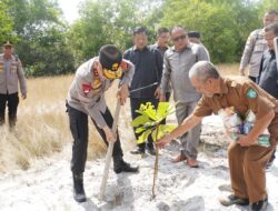 Kapolda Babel Kunjungi Belitung Timur, Tanam Pohon di Objek Wisata SD Laskar Pelangi